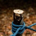 Essential Camping Gear Beginners Need—Including Why Climbing Tricams Might Surprise You
