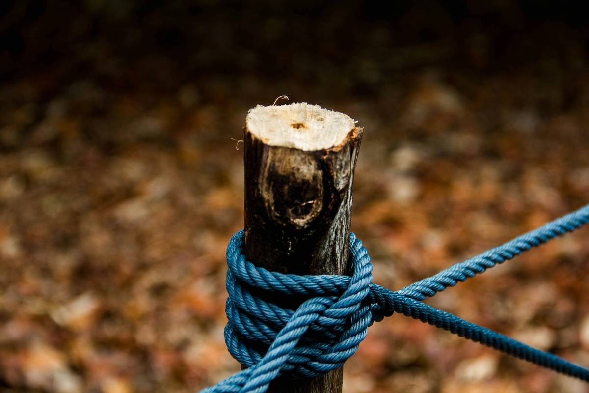 Essential Camping Gear Beginners Need—Including Why Climbing Tricams Might Surprise You
