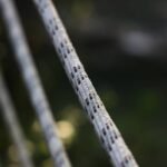 Triple Cam Climbing Essential How To: Mastering the Forgotten Hero of Your Rack