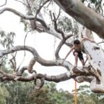 How to Use Tree Climbing Gear: A Climber’s No-BS Guide to Tricams, Safety, and Not Ending Up in the ER
