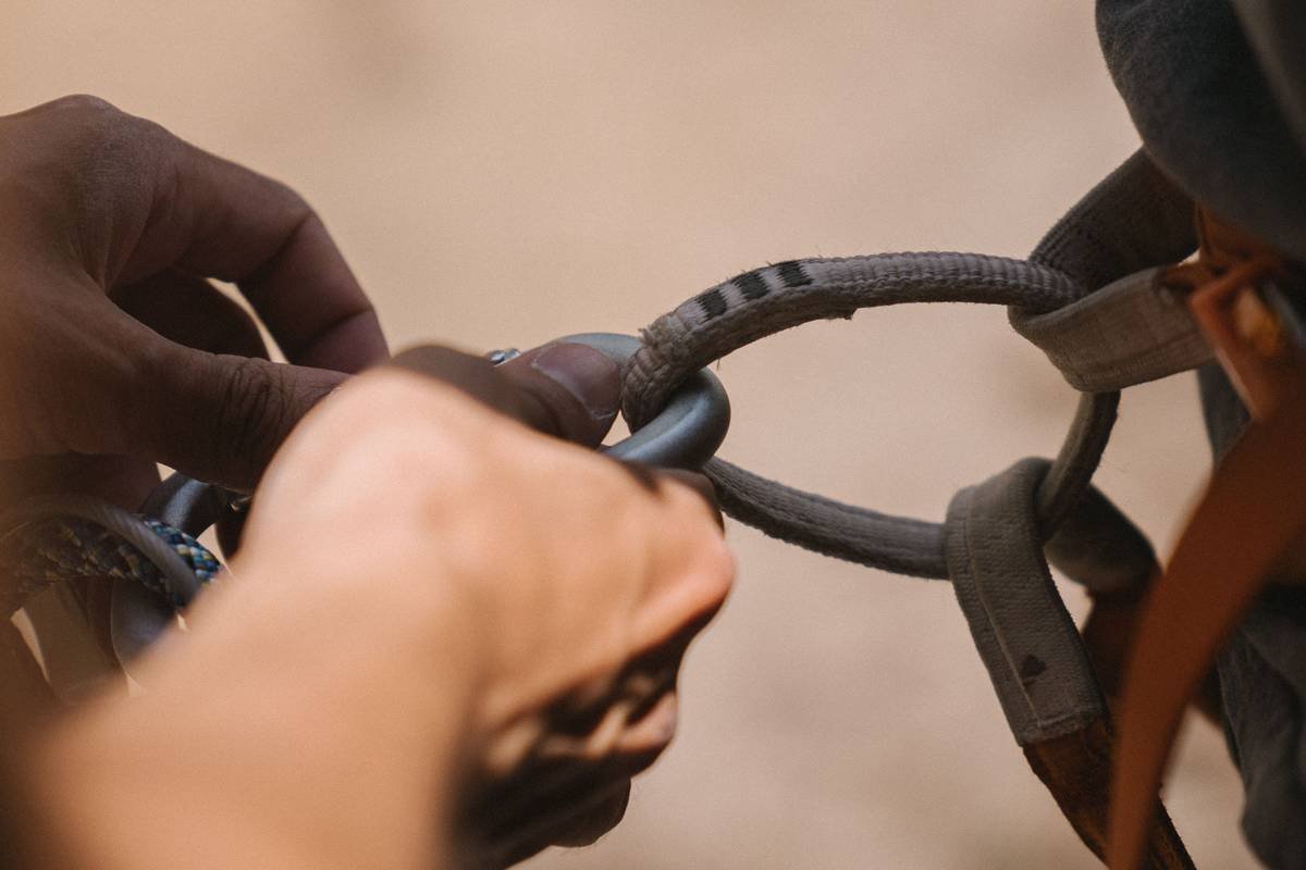 The Ultimate Guide to Climbing Gear for Trees: Why Tricams Should Be in Your Canopy Quiver
