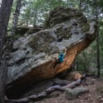 Why Your Next Forest Climb Fails Without Proper Tricams—and How “The Forest Climbing Gear” Solves It