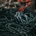 Rock Climbing Gear List: Why Tricams Still Belong in Your Rack (And When They Don’t)